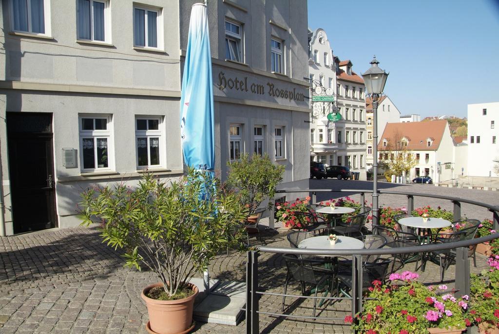 Am Rossplan Hotel Altenburg Eksteriør billede